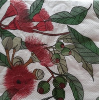 Napkins 243