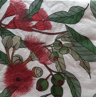 Napkins 243