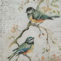 Mini Napkins 13