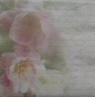 Napkins 107