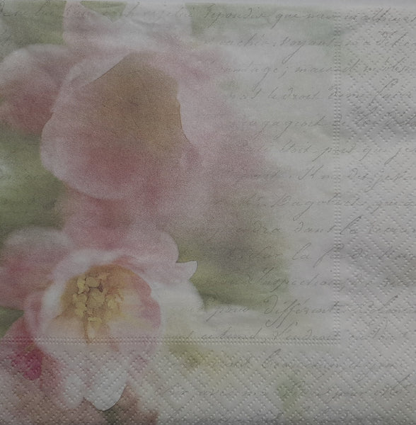 Napkins 107