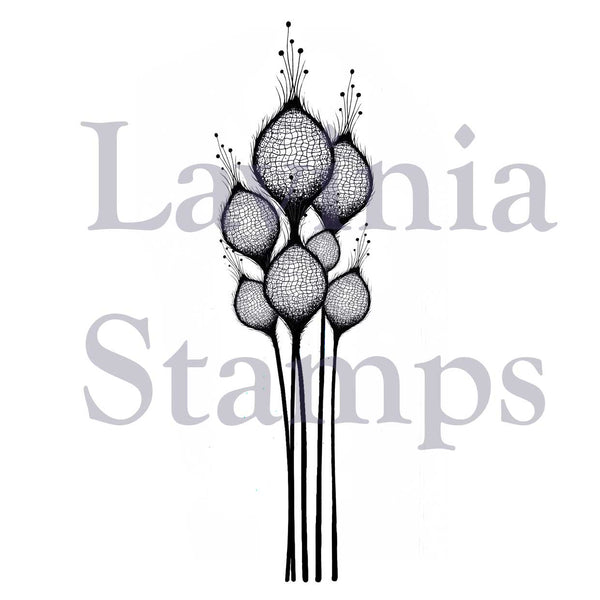 Lavinia Stamps - LAV378 -  Fairy Thistles