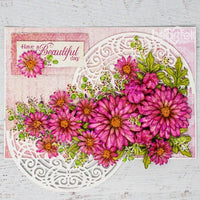 Wild Aster Die-Cut Set
